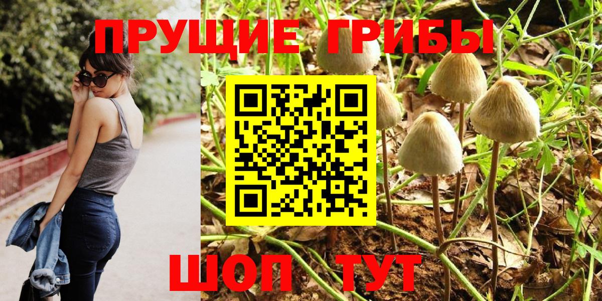 Назарово  Псилоцибиновые грибы Psilocybine cubensis  Вход с VPN 